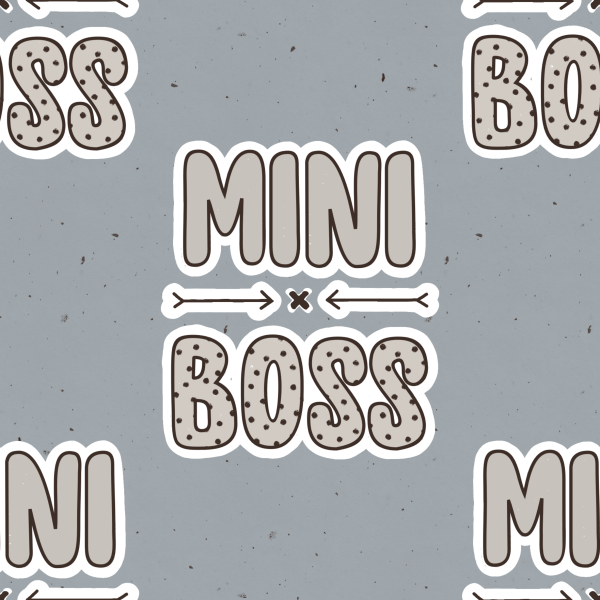 Eigenproduktion - Mini Boss - grau - Baumwolljersey