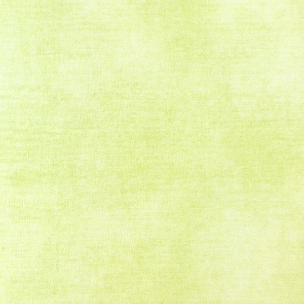 Denim-Style - lime cream - Baumwolljersey