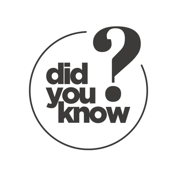 Eigenproduktion - Glamorous - Allover - altgrün - French Terry